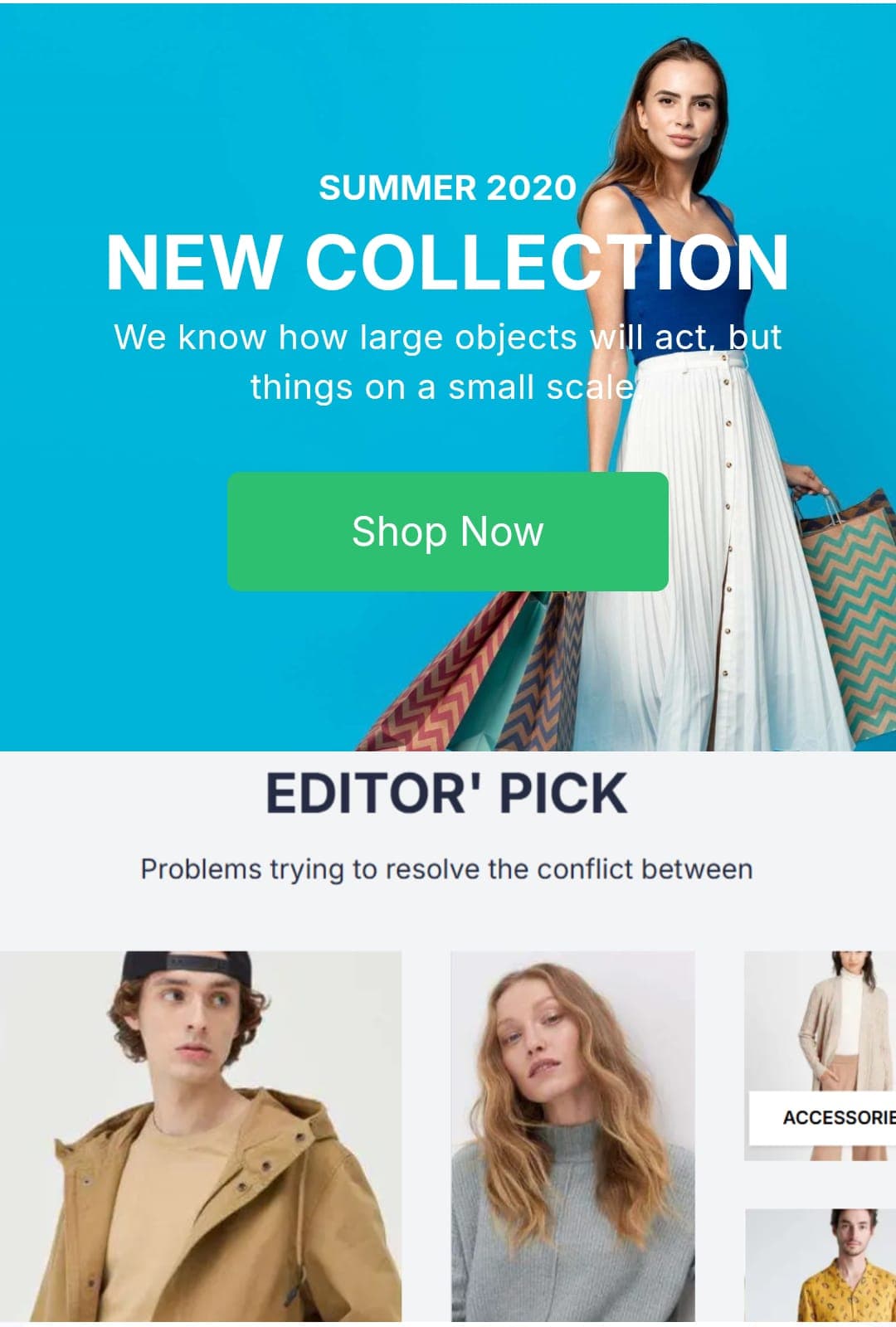 Alishba's Portfolio Project